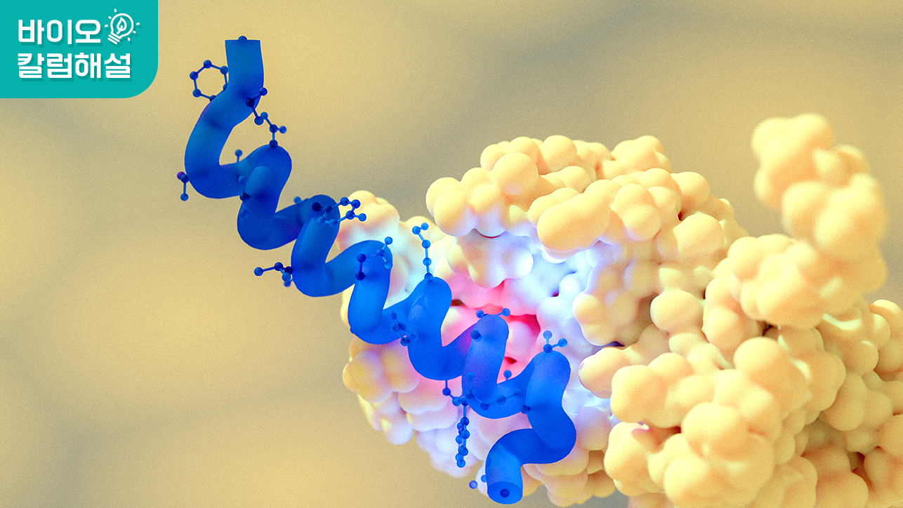 비만치료제 이렇게 끝날 호재인가요